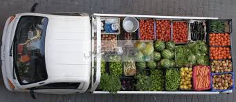 سيارات خضرة متنوعة 